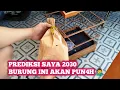 Lagu DIJAWA JADI BURUNG L4NGKA, MAKANYA HARGANYA MASYA'ALLAH MAHAL BANGET‼️