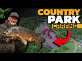 This UK Carp Lake Is a Total HIDDEN GEM S2E1 The Bold Carper