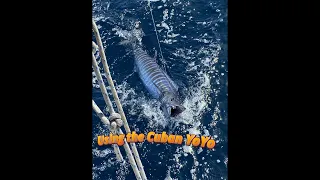 Episode 48   Using the YoYo Reel