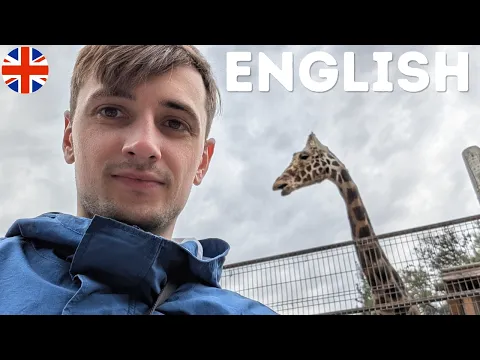Should Zoos Still Exist? | Inglês britânico B1 Input compreensível (CI)