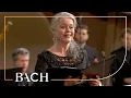 Download Lagu Bach - Cantate Wachet auf, ruft uns die Stimme BWV 140 - Van Veldhoven | Nederlandse Bachvereniging