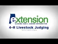 Tips for Livestock Judging