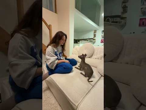 Klarisa cvičí 3-mesačného PSA…😂🙈