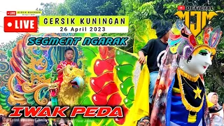 Download Burok MJM Song:Iwak Peda Live Geresik 26_04_23 MP3