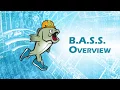 BASS Overview