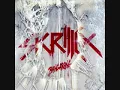 Skrillex - Bangarang (ft. Sirah) With Download Link | SK8TESRQ