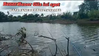 Download GILAA !! Banyak Banget Ikanya - Mancing Ikan Wader di Sungai Seperti Ini  #007 @Alfinmaulanachenel MP3