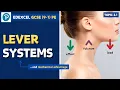 GCSE PE - Lever Systems 1st 2nd and 3rd class Mechanical Advantage Examples in Sport topic 2 1