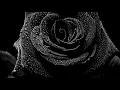 Shy Glizzy,Jeremih,Ty Dolla $ign-Like That