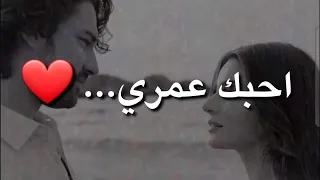 محمود التركي اشمك جديد حالات واتس اب 