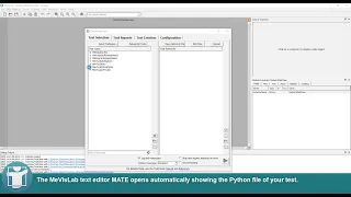 MeVisLab Tutorials - Automated Python Tests