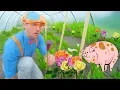 Download Blippi Farm Tour | Farm Animals and Vegetables for Kids mp4 3gp mp3 videos - waplic