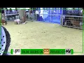 Lindner Showpigs Farm Sale - Aug-21
