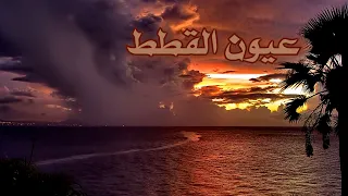 من أجمل القصائد قصيدة عيون القطط للشيخ سعود الشريم 