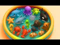 Kids Learn | Sea Animals with toys \u0026 real ocean animals | Ocean Animals Names \u0026 home Learn Preschool