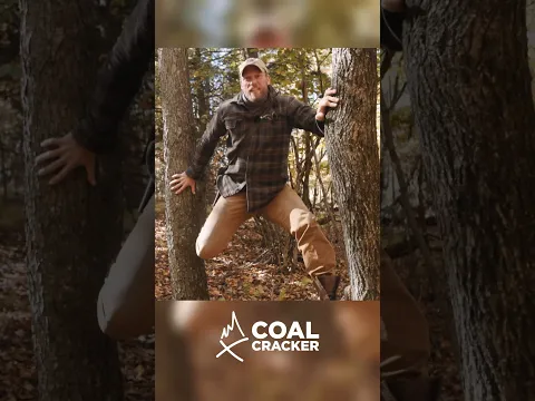 Bushcraft will make you climb trees