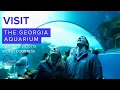 Visit the Georgia Aquarium During the 2025 ITS World Congress in Atlanta