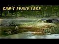 Path of Titans But I can t leave this Lake
