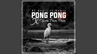 Download DJ Pong Pong x Ciperi Pam Pam Pam MP3