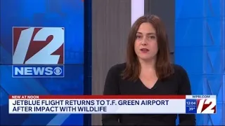 JetBlue flight leaving T F Green strikes wildlife on the tarmac
