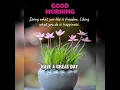 Good Morning Wishes