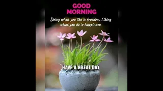Good Morning Wishes