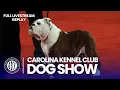 LIVE 2026 Carolina Kennel Club Dog Show Full Livestream