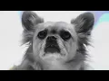 Crystal Fighters – By Your Side feat. Dagny (Official Music Video)