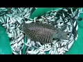 Download Lagu Jaring Ikan Dapat CUMI CUMI Besar
