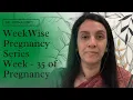 Week Wise Pregnancy Series Week - 35 by Dr Nitika Sobti
