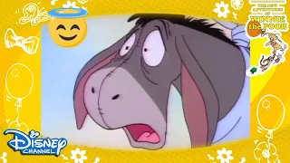 winnie the pooh bir g nl ne e e i mutlu etmek disney channel t rkiye