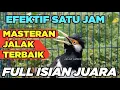 Lagu BURUNG JALAK SUREN GACOR FULL ISIAN SUPER EFEKTIF untuk PANCINGAN MASTERAN SEMUA JALAK