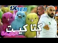 Lagu آجي نطلقوها تسرح على كتاكيت الجليدة