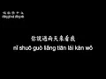 【唱歌學中文】►鄧麗君 / 你怎麼説◀ ► Teresa Deng / What do you say ◀『你心裡根本沒有我 連名字你都說錯』【動態歌詞中文、拼音Lyrics】
