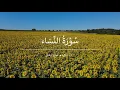 Download Lagu An Nisa - Hani Ar-Rifai - Tugas PR