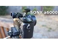 SONY a6000 Review and sample - Best Mirrorless Camera
