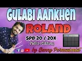 Gulabi aankhen | Patch Setting | Roland Spd 20 \u0026 20x  by Bunny Percussionist