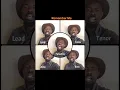 Remember Me by African Reggae legend Lucky dube - Accapella Cover