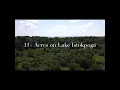 11 Acre tract in Lorida Fl on Lake Istokpoga
