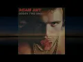 Adam Ant - Goody Two Shoes (4K/Lyrics)