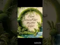 Download Lagu #hiddenpearlsofislam #islamicpearls #islamicquotes #Taluq-Bil-Quran