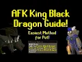 AFK King Black Dragon Guide Easiest Method for Pet OSRS