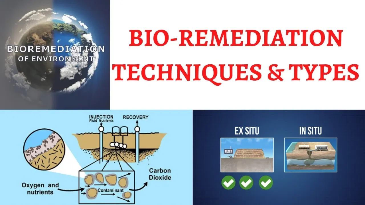 What is Bio-remediation ? Insitu, Exsitu & Types