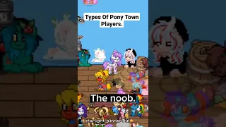 Types Of Pony Town Players