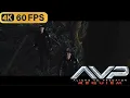 Download Lagu AVP2:ALIEN VS.PREDATOR2 Requiem(2007) 60fps 4K Ultra HD Clip - Warning