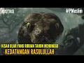 Lagu Kisah Seekor Ular Yang Sudah Ribuan Tahun Menunggu Kedatangan Rasulullah #PMuslim
