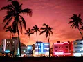 Adult Swim Bump - Vice City