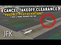 NEAR HIT AT JOHN F KENNEDY AIRPORT