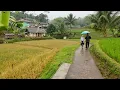 Download Lagu BIKIN BETAH! SUASANA PAGI DI PEDESAAN, KABUT DAN HUJAN TURUN MENGGUYUR KAMPUNG TERTINGGI YANG INDAH