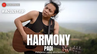  acoustrip felix irwan padi harmony